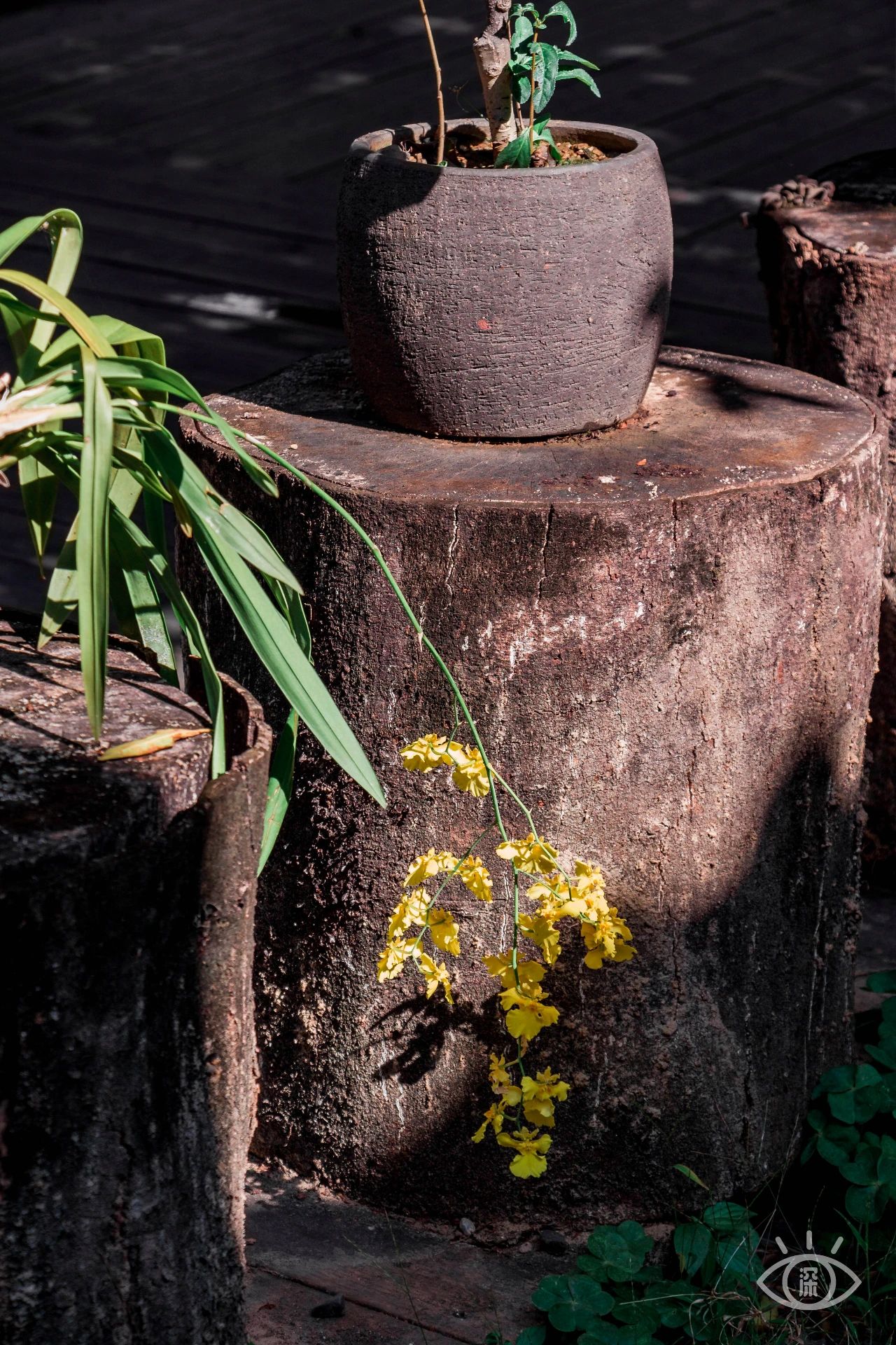 深圳各区最美的地方,深圳6个绝美地方