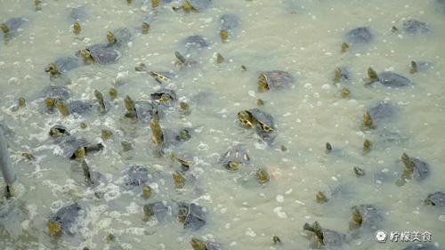 74岁的他，把一半的人生交给了这碗「黑暗甜品」