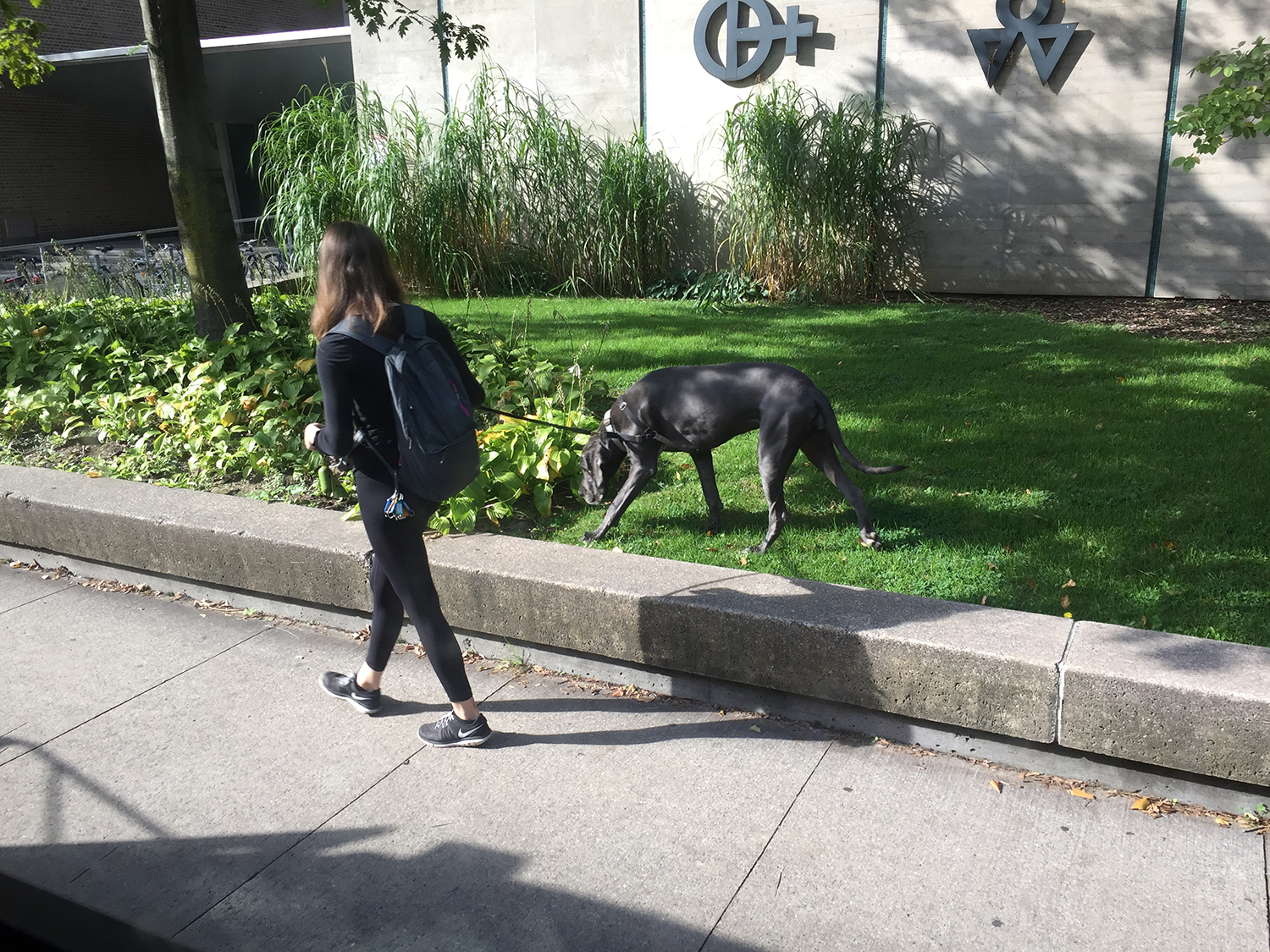 加拿大留学网站有哪些,加拿大留学用得着的网站