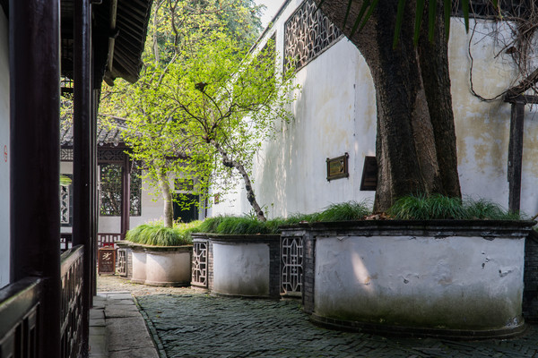 踏春赏花拍美景,踏春赏花逛湖