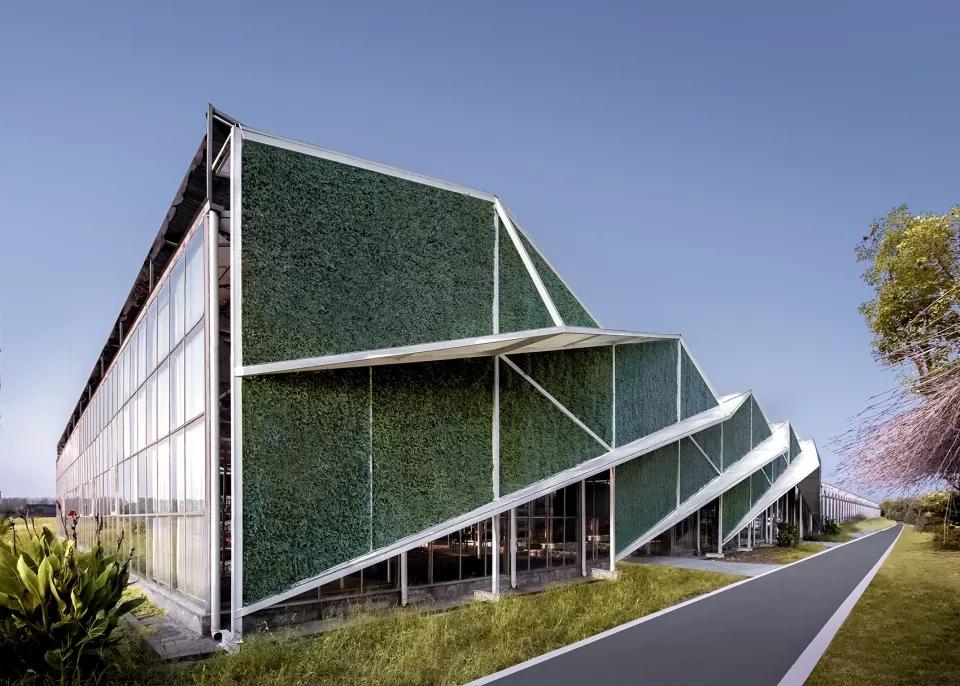 全国最美乡村振兴项目,中国最美的乡村振兴项目