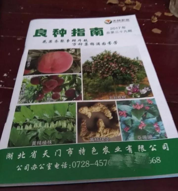 【深度长文】在不可描述的网站上打广告是一种神马体验？