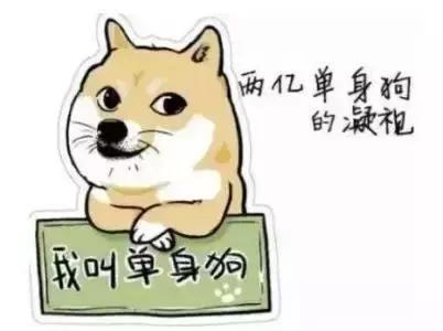 支付宝上线电子结婚证，七夕节引爆“单身经济”| 奇扒说0807