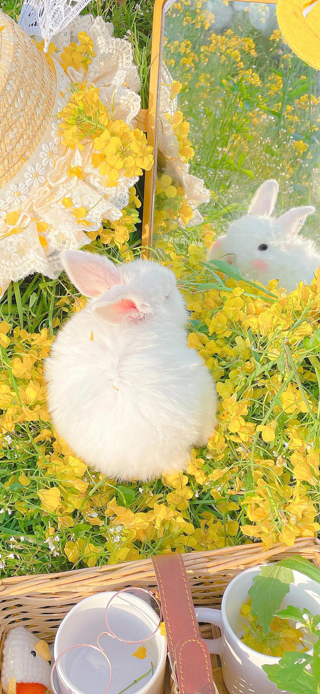 壁纸不管你做什么都要做到极致,不做别人公主只做自己的女王壁纸