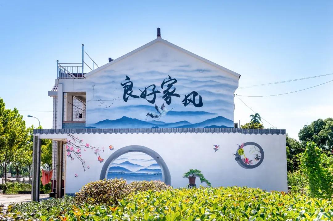 每年十多万人去浦东这个村参观，怎么这么“红火”？【走向我们的小康生活】