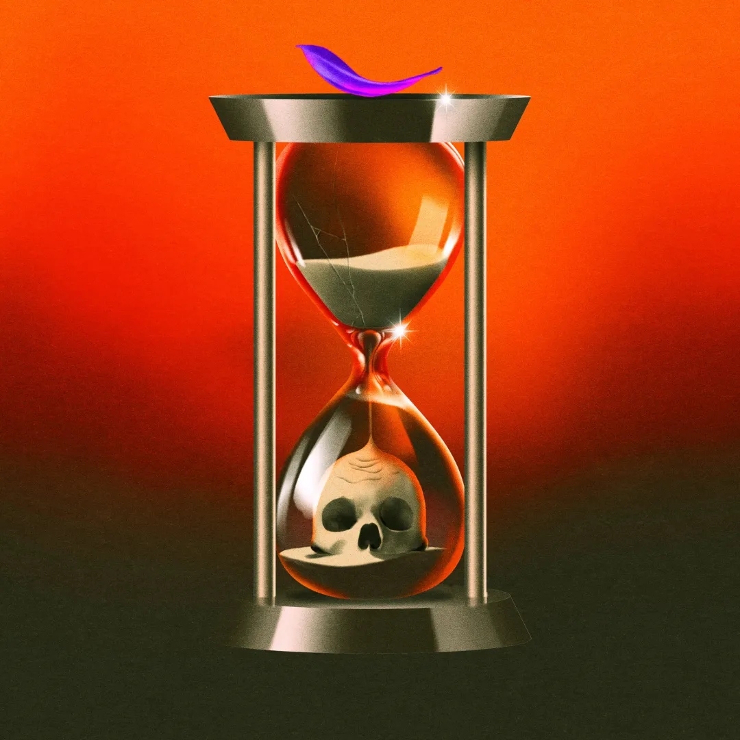 纽约时报去年的文章,纽约时报年度最佳图书