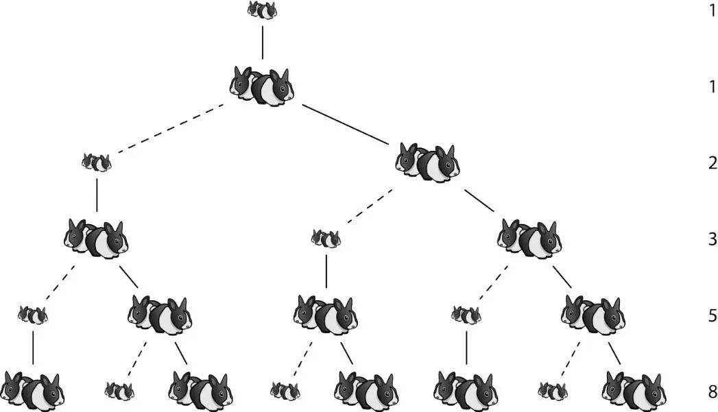 十进制在欧洲的推广与普及，是促进欧洲数学大发展的重要因素