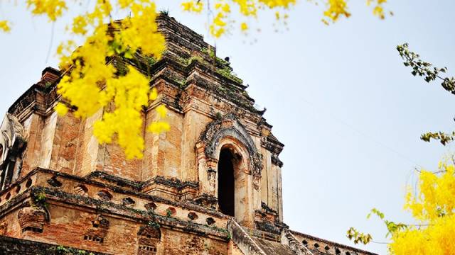 清迈美食攻略大全,最新清迈美食攻略