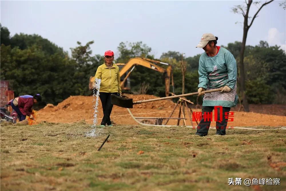 柳州市柳南区体育园什么时候开放,柳州最新体育公园消息