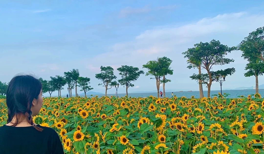 珠海的一个岛屿生活淳朴安静,珠海的几个岛屿一天能耍完吗