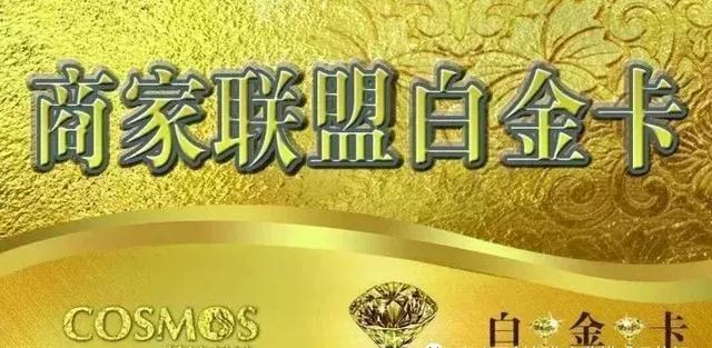 内衣店铺经营模式和方案,内衣店如何经营最能盈利