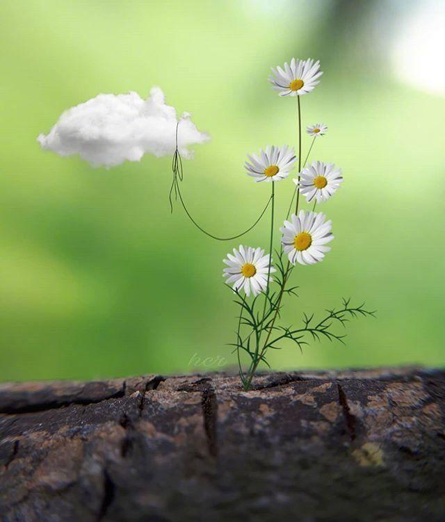 散文：乐观的人生，才会有更多的快乐