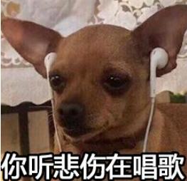 滤镜还是拯救不了眼袋,适合有眼袋的滤镜