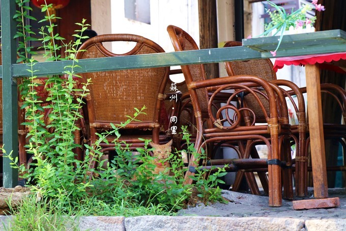 千年古镇苏州周庄一日游,苏州千年古镇同里