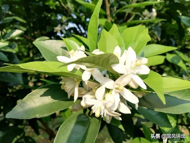 长寿秘诀养生之道,健康长寿之道