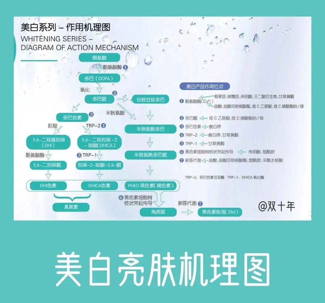 美白产品配方成分表,美白成分排行榜第一名