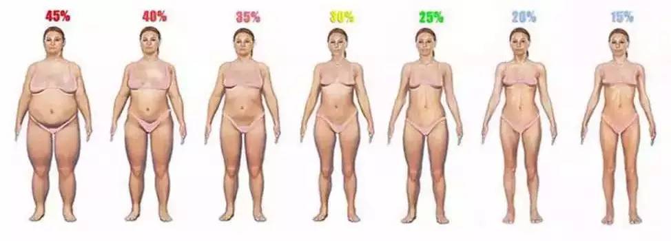 体重73kg身高160bmi怎么算,体重65身高160的bmi是多少