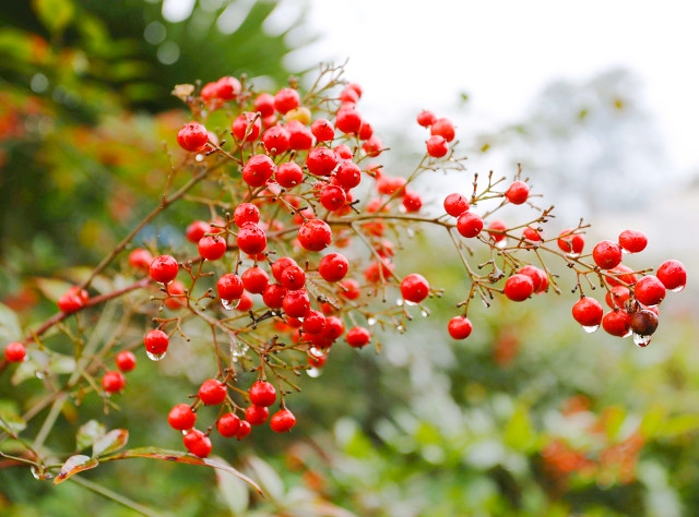 安徽中国最美三大古镇,安徽十大最美古镇