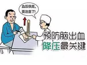 预防脑干出血最有效的方法,脑出血与脑干出血应该怎么预防