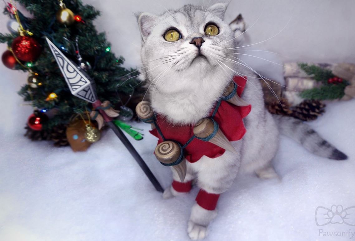 lol愚人节皮肤柯基,英雄联盟柯基皮肤