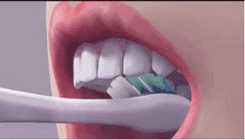 适合小朋友的刷牙方式巴氏刷牙法,最简单的爱牙方法就是有效刷牙