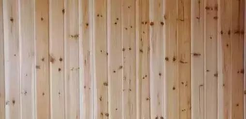 柴木是什么树种,柴木是什么