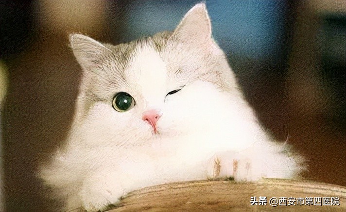 健康中国行动最新消息,健康中国行动2030图解