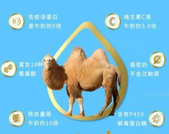 牛奶羊奶驼奶混合一起可以服用吗,羊奶和驼奶哪种比较适合小孩