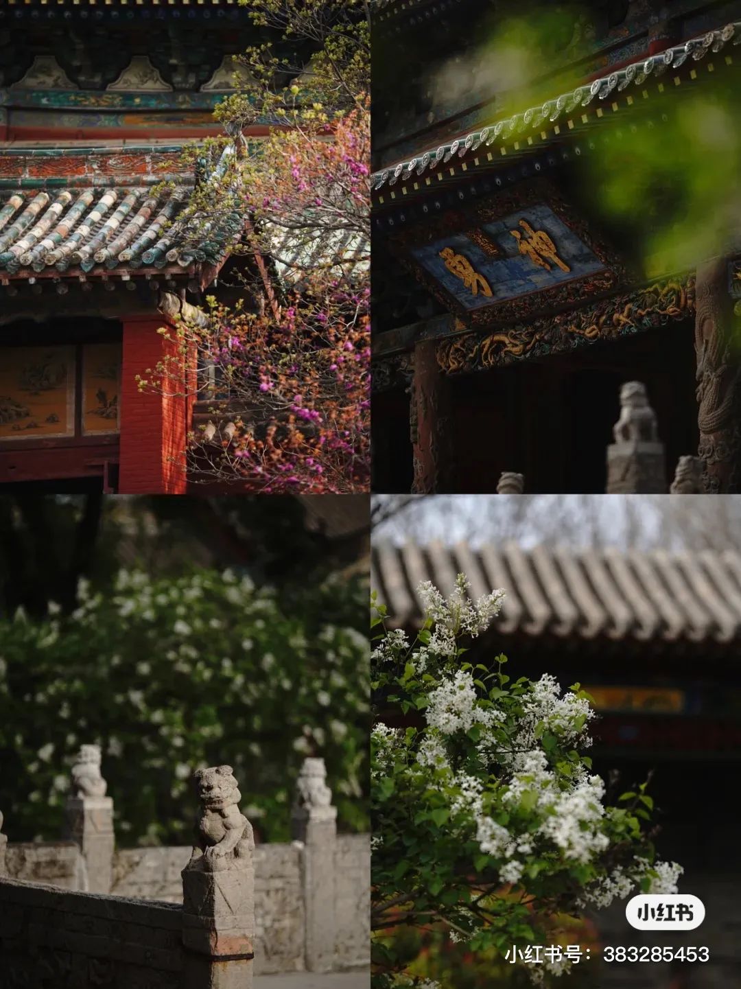 盐湖区中国死海,中国死海停业了吗