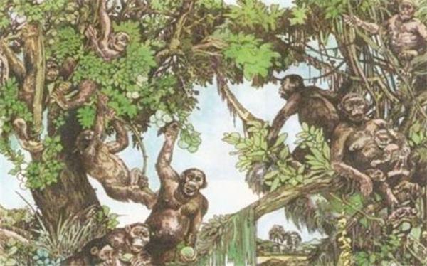 揭开人类进化之谜达尔文,人类起源推翻达尔文进化论