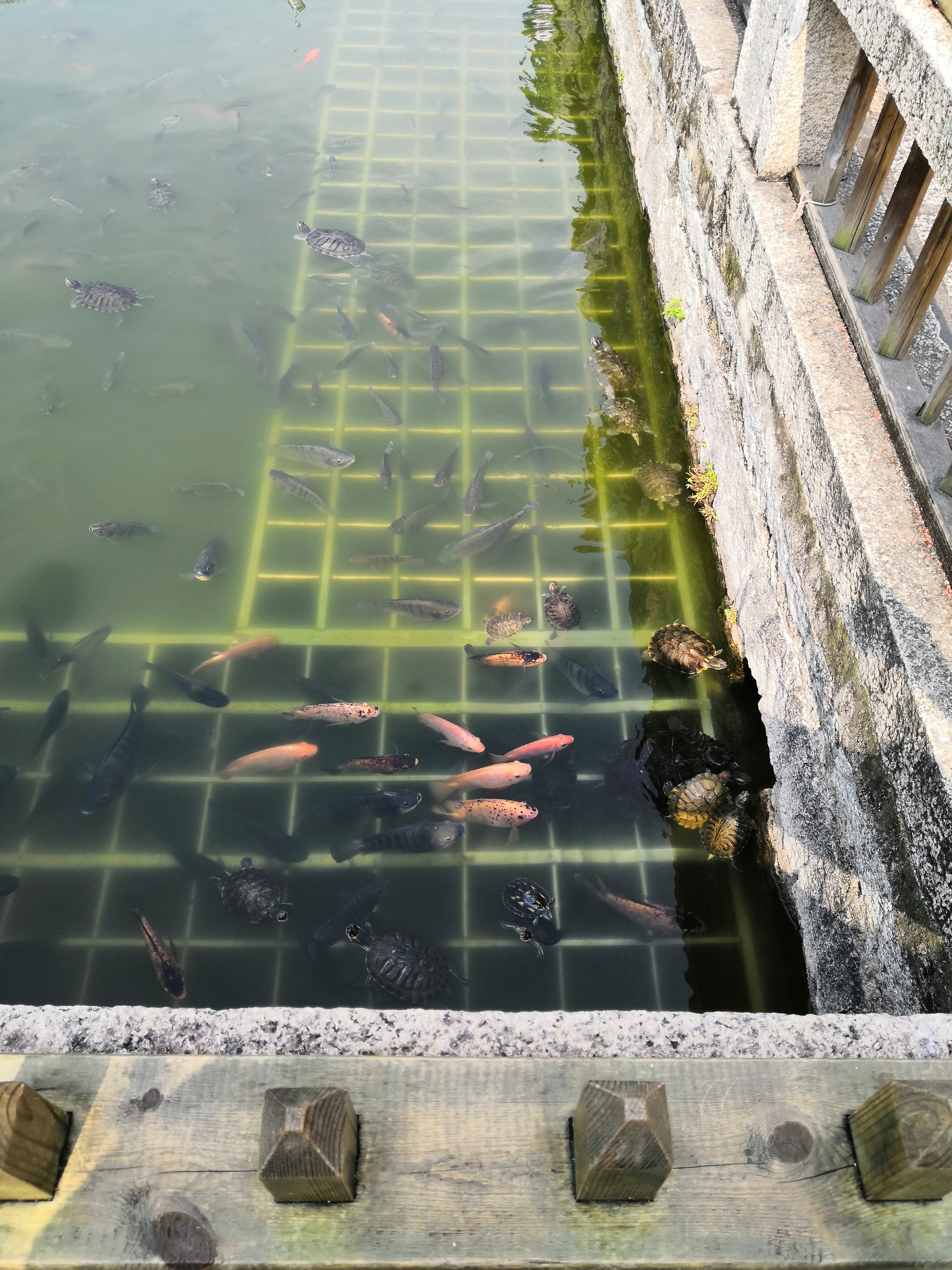 厦门跟团游购物攻略2015,厦门机场免税店购物攻略