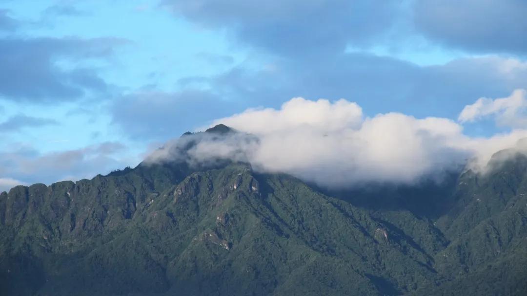 云南避暑避寒最佳地方,云南最适合避暑的旅游城市