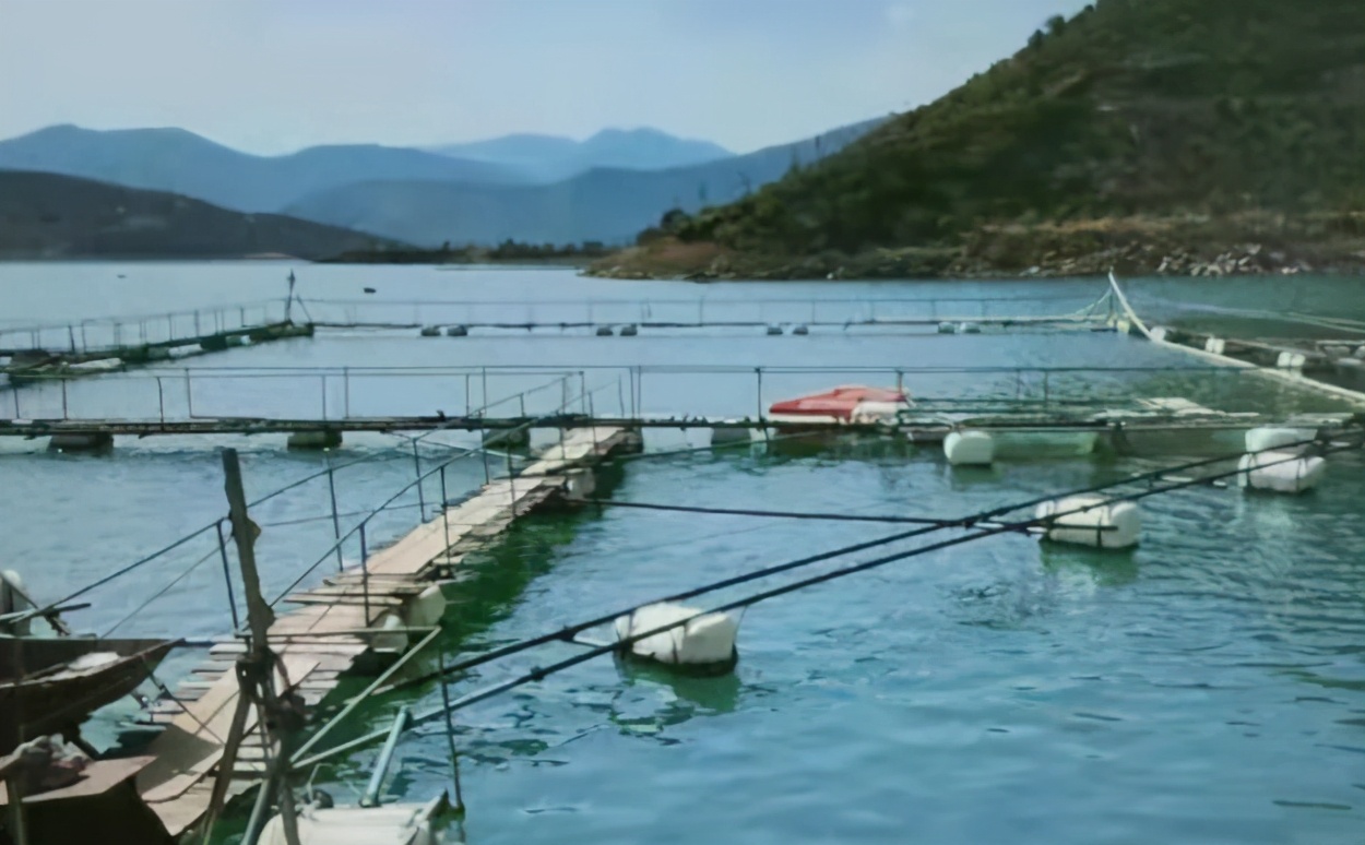 最高检长江经济带典型案例第三批,最高检长江经济带典型案例第二批