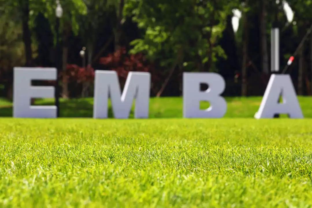 蒙草快乐小草亮相全国发明展览会,蒙草生态快乐小草产品