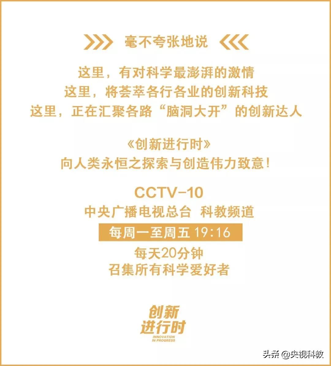 一条石斑鱼,一条石斑鱼一碗白饭