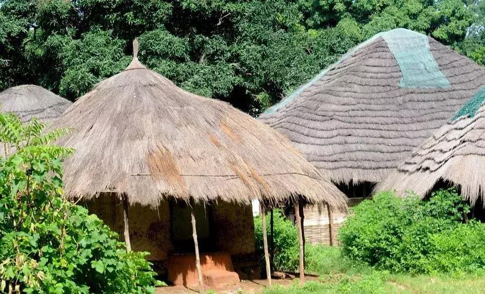 中国人移民最简单的国家,中国人移民最多的国家是哪些