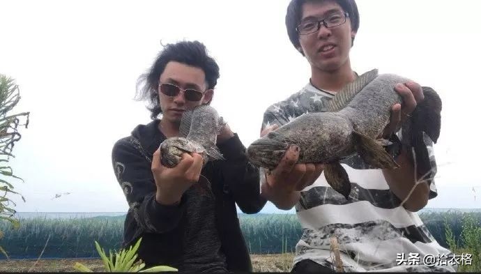 分手了前男友还正常聊天该怎么办 (分手了前男友还在微信聊天)