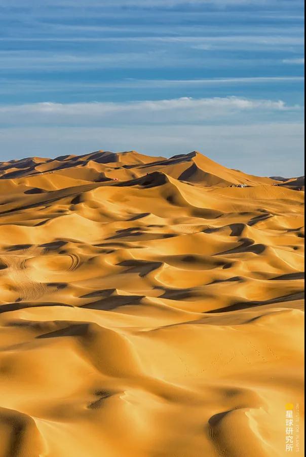 中国植树造林面积,中国植树造林成果国外有什么看法