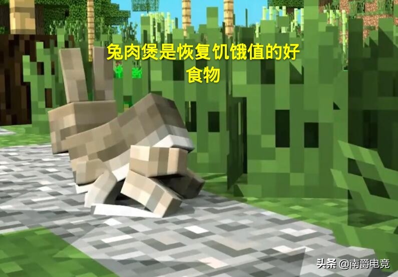 我的世界全部动物冷知识,兔子的冷知识之我的世界