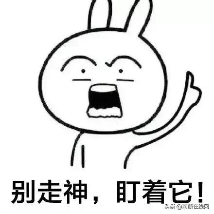 南康区第四届篮球锦标赛赛程,南康区体育馆潜水比赛