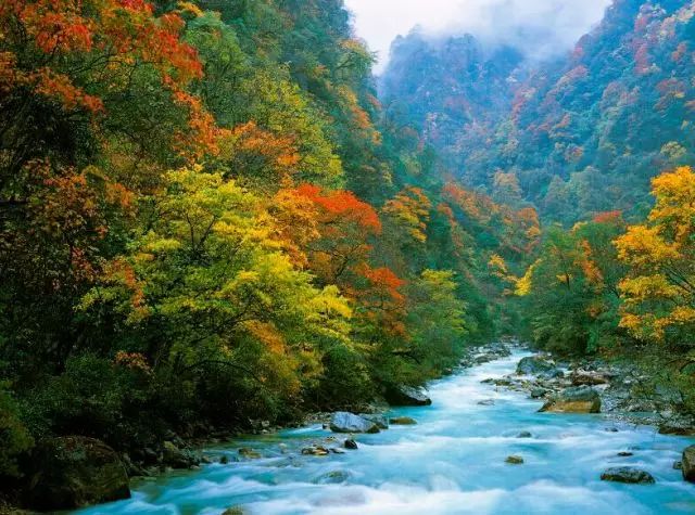 四川一条路途经全是石头的山,四川红叶一日游攻略