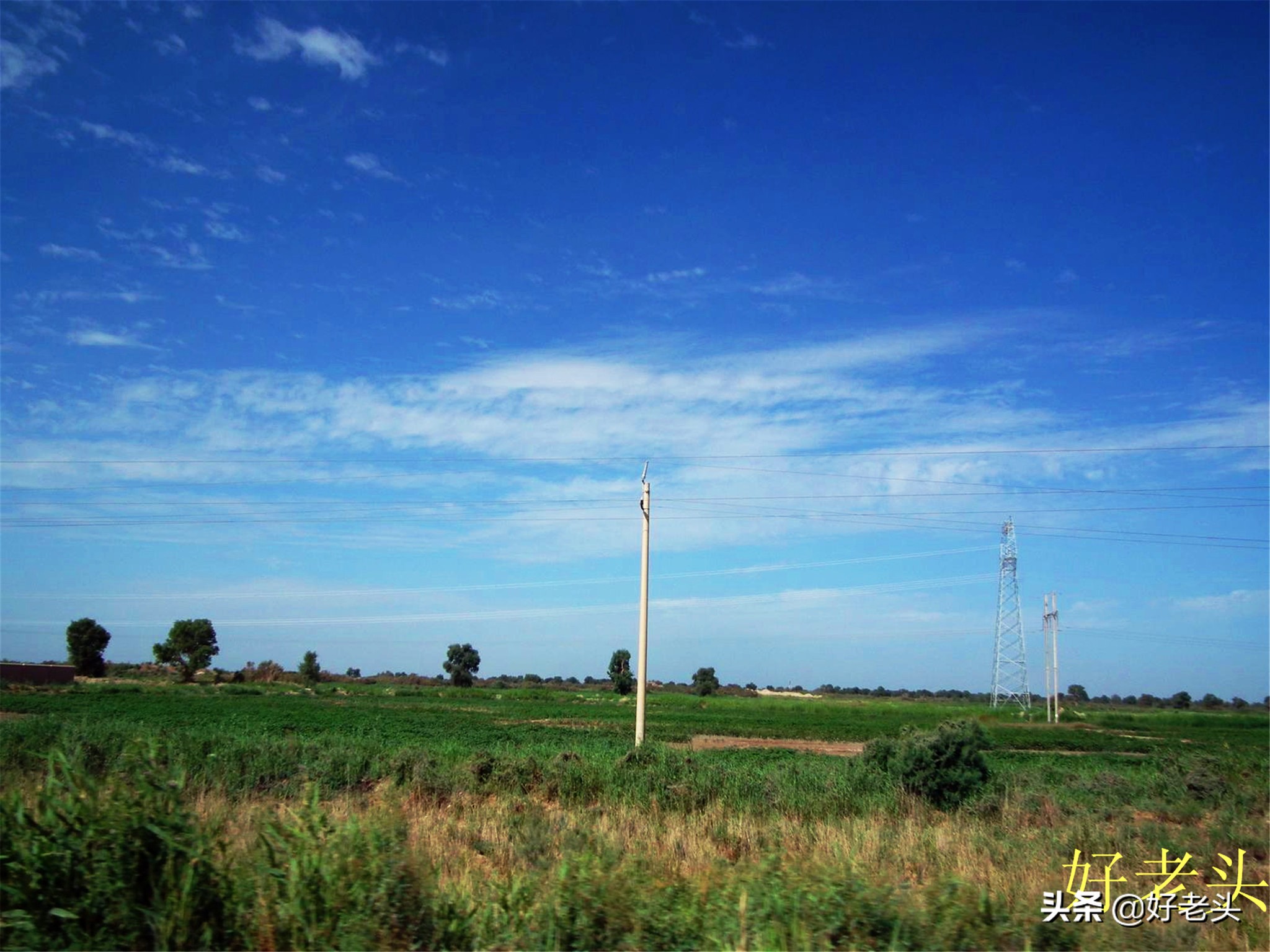 库尔勒轮台胡杨林风景区,胡杨林景区轮台
