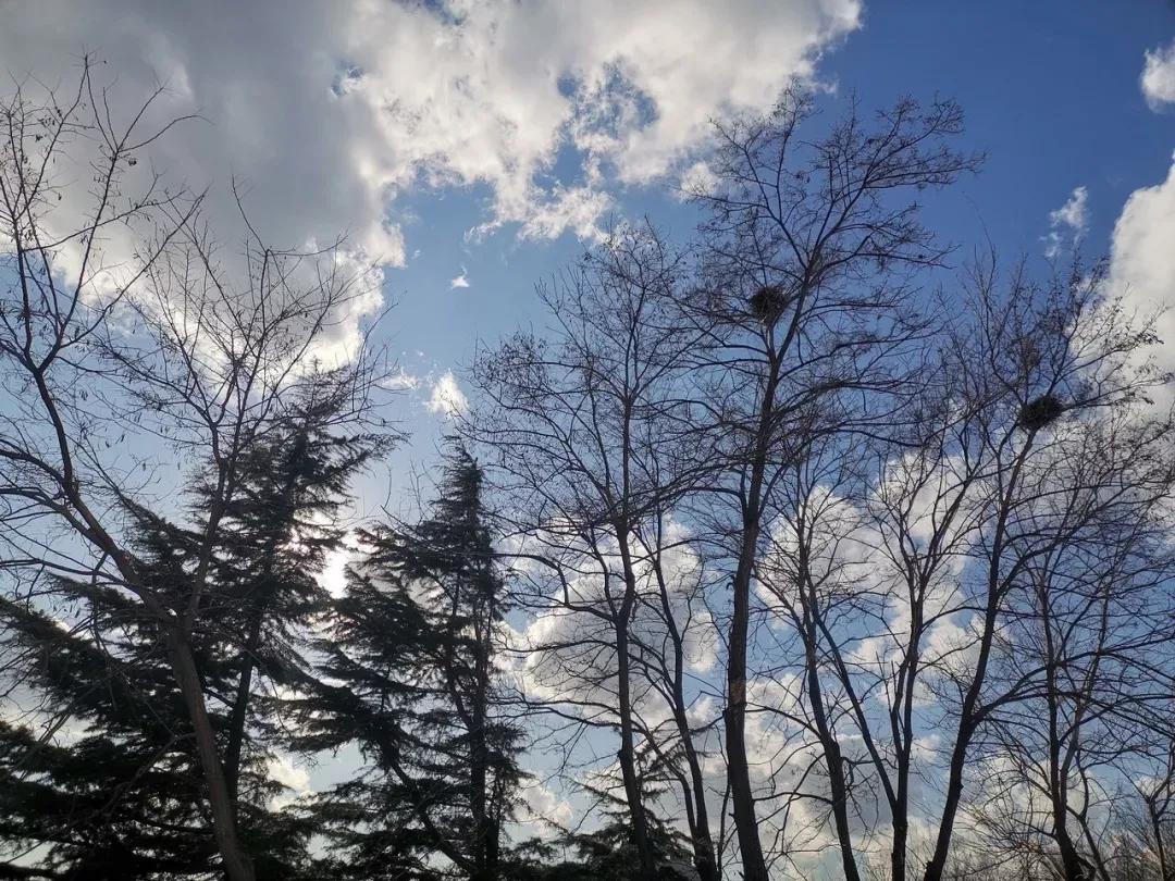 辽宁大连民办大学,大连辽宁二本大学