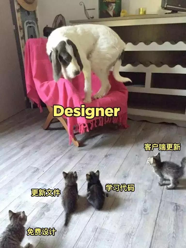 表情包有什么隐藏功能,原来表情包还能这样用