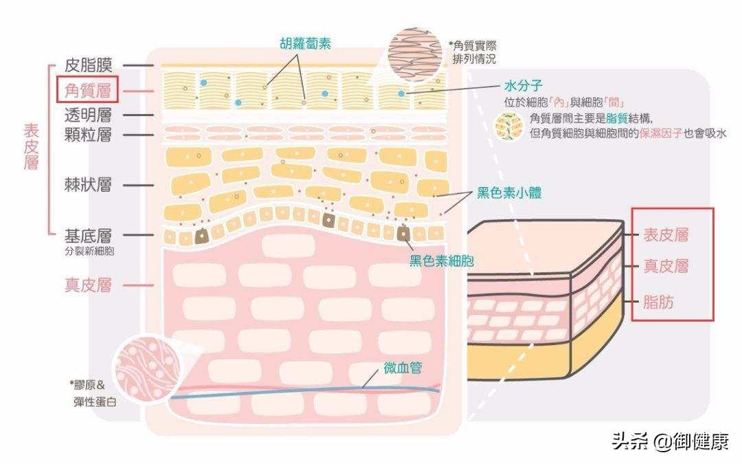 洗澡次数多好吗,洗澡多洗几遍的好处