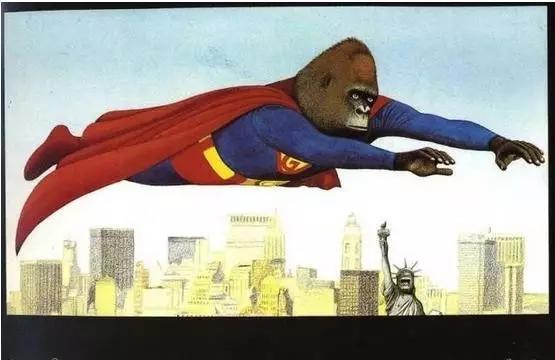 绘本大猩猩的寓意是什么,绘本大猩猩推荐理由