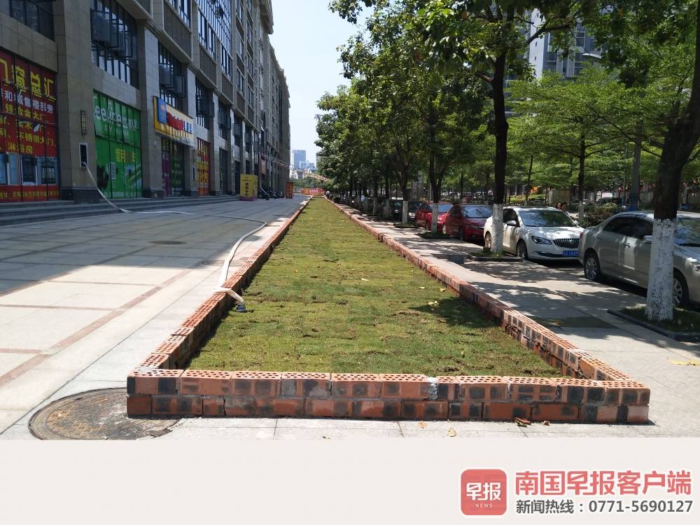 开发商地砖上种草皮被质疑突击,开发商原有的绿化被业委会乱种