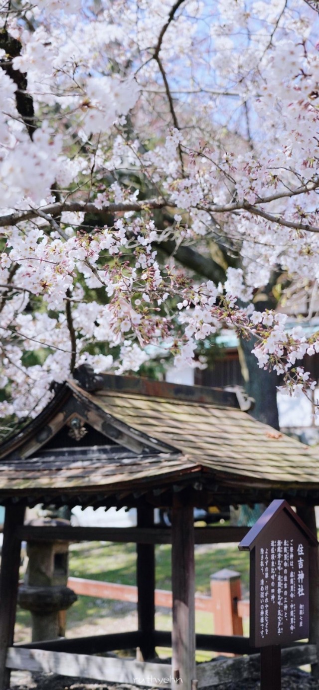 好看的微信聊天背景图男生,微信聊天背景图超清苹果