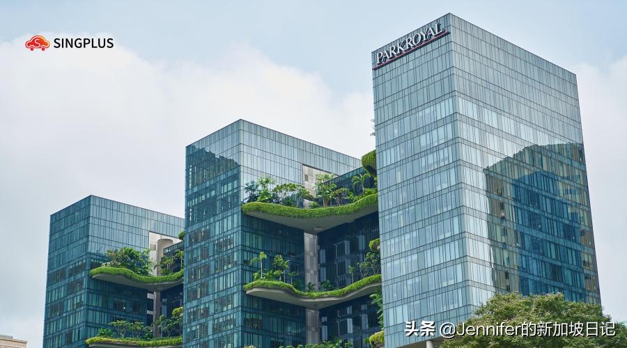 新加坡创业需要什么条件,新加坡看着不起眼却挣钱的行业