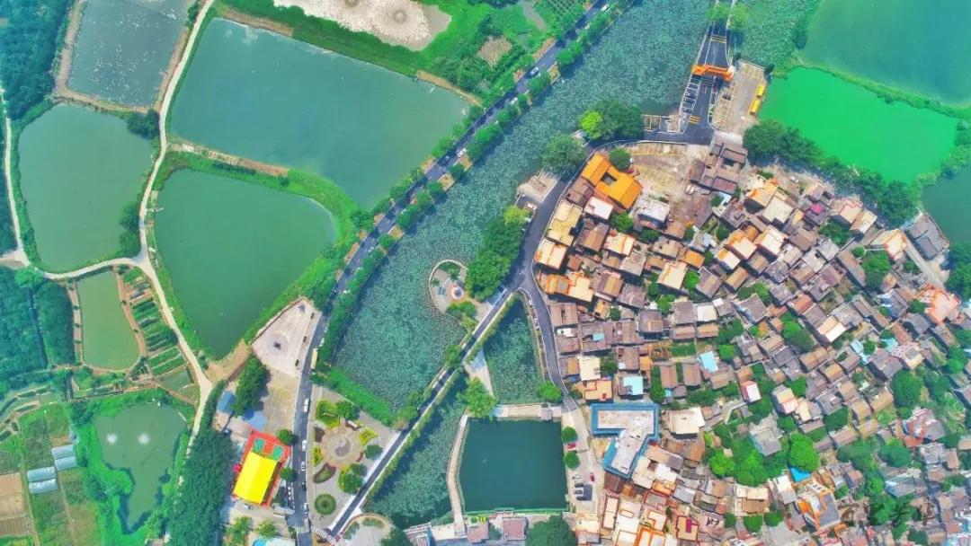 百佳诗意小城|@惠东人，快来为惠东打CALL!